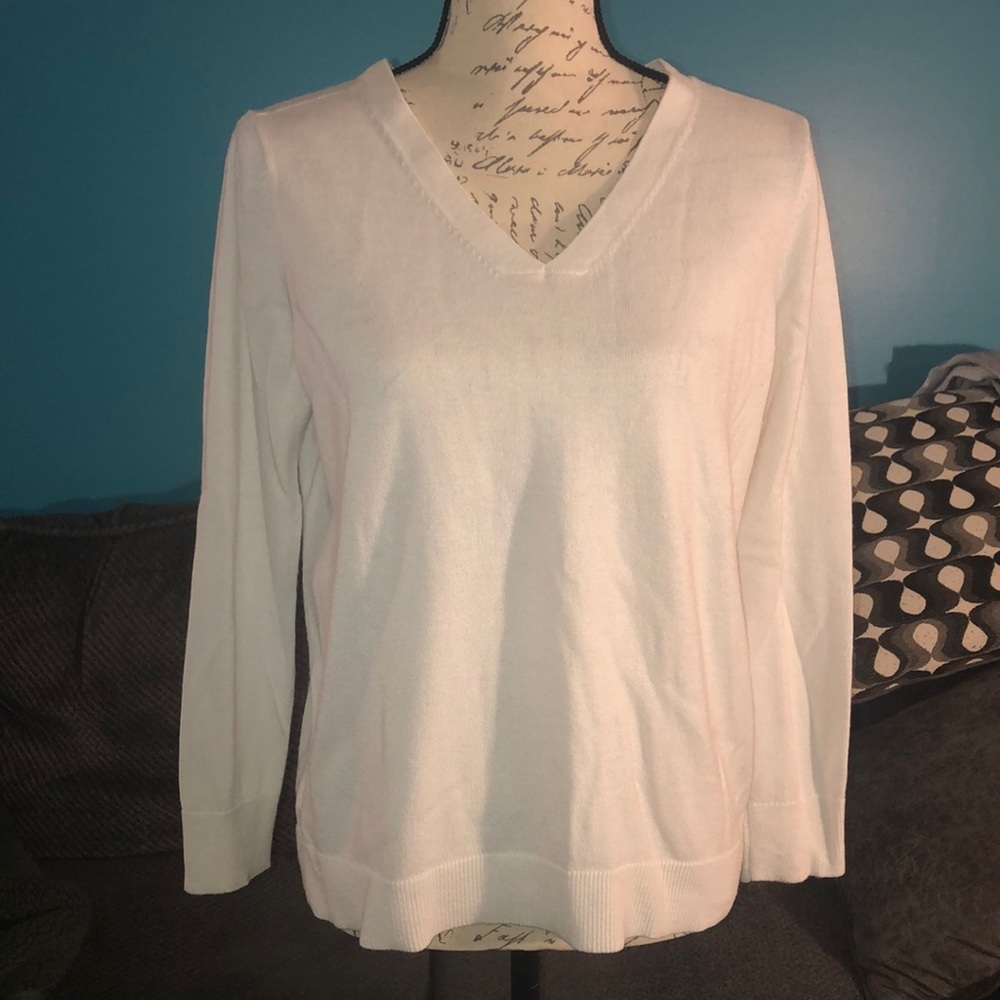 Loft V-neck Sweater, Large Petite